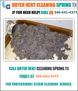 Dryer Lint Removal